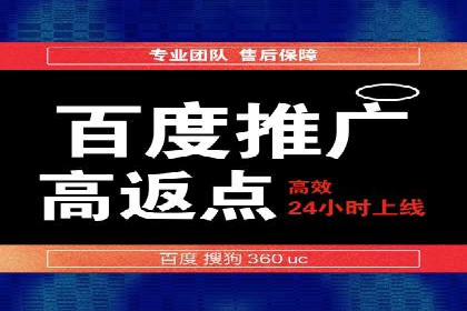 百度推广运营实战：成功案例解析